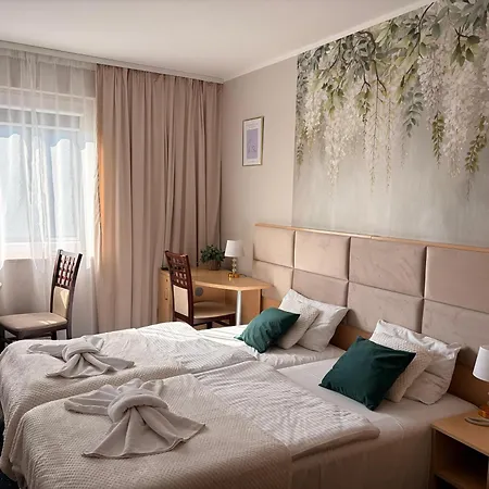 Great Polonia Silesian Economy Hotel-3